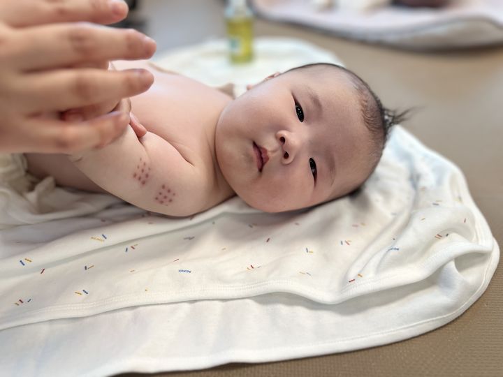 증평군민 장기자랑 참가자 모집…29일까지 등[증평소식]