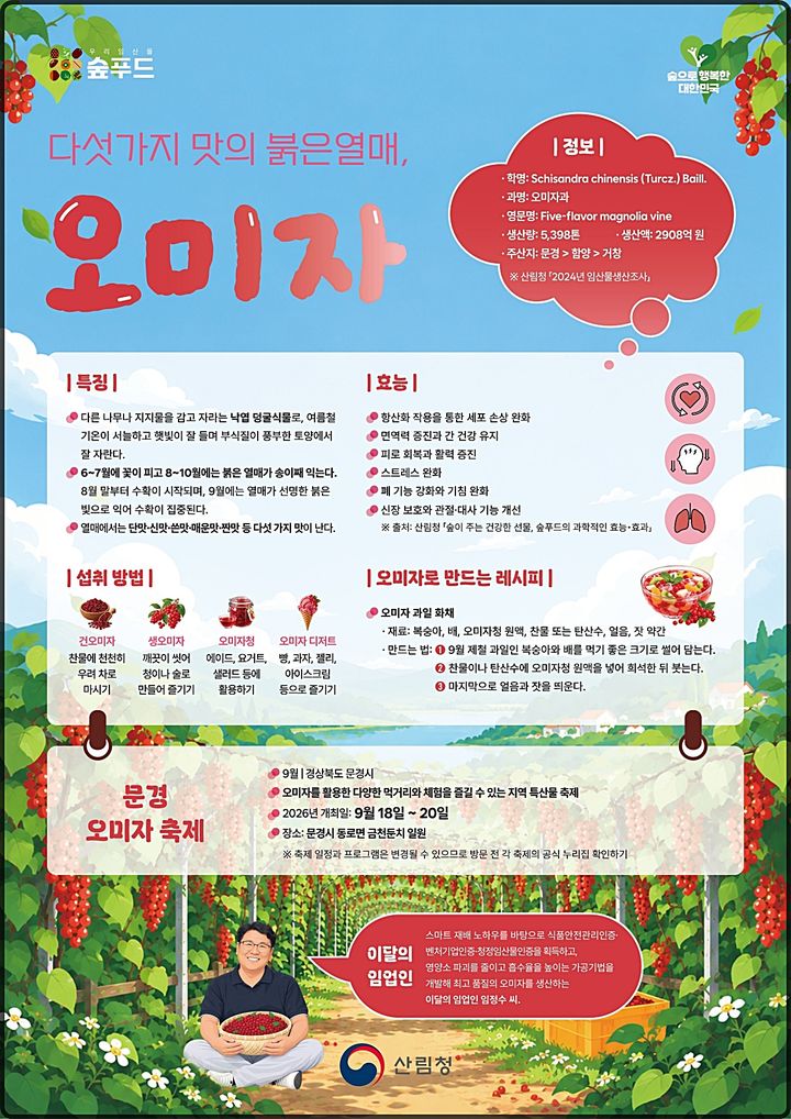 [대전=뉴시스] 9월 이달의 임산물로 선정된 오미자.(사진=산림청 제공) *재판매 및 DB 금지