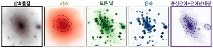 시뮬레이션 속 은하단(CDM, 현재 시점 기준)의 다섯 가지 지도. 색이 진할수록 물질이 빽빽한 곳이다. 맨 우측 ‘중심은하+은하단내광’ 지도가 맨 왼쪽 암흑물질 지도와 가장 닮았다. (사진=한국천문연구원 제공) *재판매 및 DB 금지