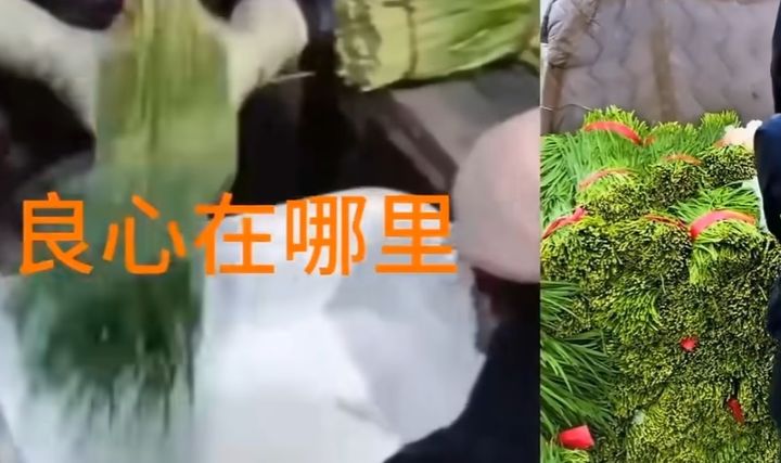[서울=뉴시스]신선도를 강제로 유지하기 위해 초록색 야채를 화학 약품에 담가 '샤워'를 시키는 장면. 사진 유튜브 채널 '대륙남TV' 영상 캡처 *재판매 및 DB 금지