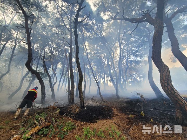 [영천=뉴시스] 영천시 대창면 대재리 산불 진화 현장 (사진=경북소방본부 제공) 2026.9.15. photo@newsis.com 