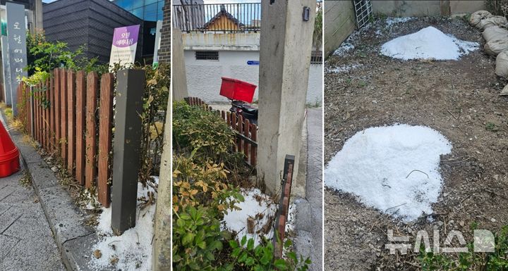 [전남광주=뉴시스] 지난 12일 전남광주 남구 양림동 오월어머니집에 심어진 능소화가 잘려진 채 그루터기 위로 소금이 뿌려져 있다. 베어진 능소화는 2014년 오월어머니집 준공 당시 심어진 나무로 건물 외부 콘크리트 기둥과 구조물을 타고 자라며 12년간 자리를 지켜오다 최근 민원을 이유로 제거됐다. (사진 = 박홍근 건축가 제공) 2026.09.15. photo@newsis.com