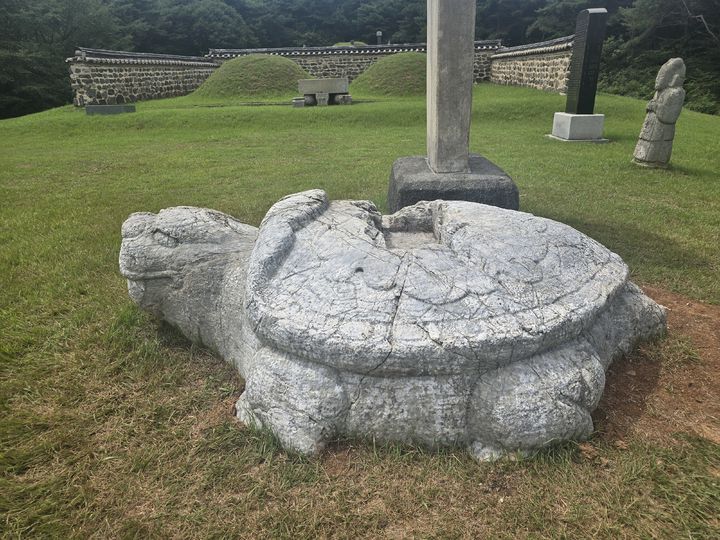 [당진=뉴시스] 보존 처리가 완료된 당진 이의무 묘 귀부. 윗쪽으로 지난해 끝낸 신도비가 서 있다. (사진=당진시 제공) 2026.09.16. photo@newsis.com *재판매 및 DB 금지