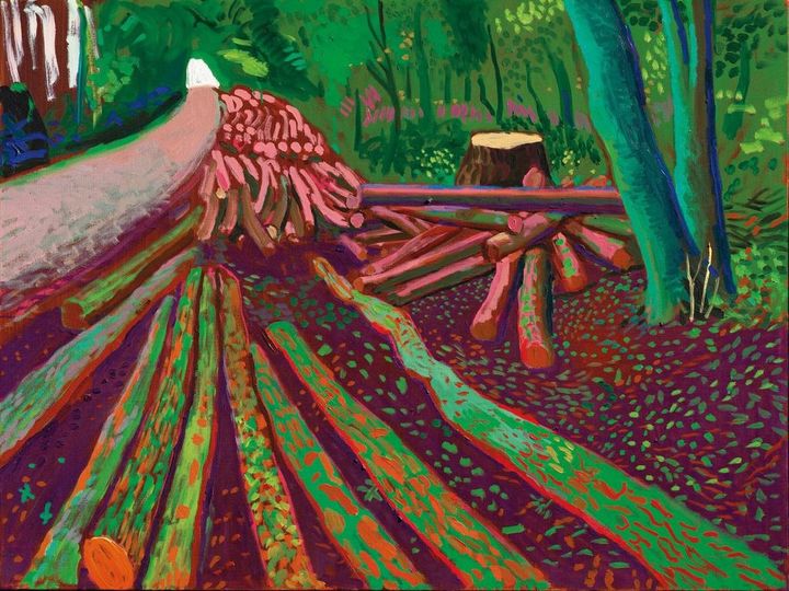 David Hockney_More Woldgate Timber, October 13th 2009_2009_2009_oil on canvas_91.5 × 122 cm © David Hockney Photo Credit: Richard Schmidt *재판매 및 DB 금지