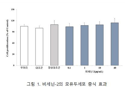 [세종=뉴시스] 비세닌-2의 모유두세포 증식 효과. (사진=국립낙동강생물자원관 제공) 2026.09.16. photo@newsis.com *재판매 및 DB 금지