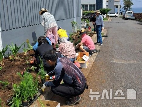 [제주=뉴시스] 제주시 용담현대1차아파트 주민들이 도민참여 마을정원을 조성하고 있다 . (사진=제주도 제공) 2026.09.17. photo@newsis.com