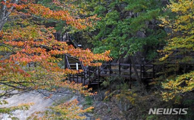  [산청=뉴시스] 지리산 대원사 계곡길. (사진=뉴시스 DB). photo@newsis.com *재판매 및 DB 금지