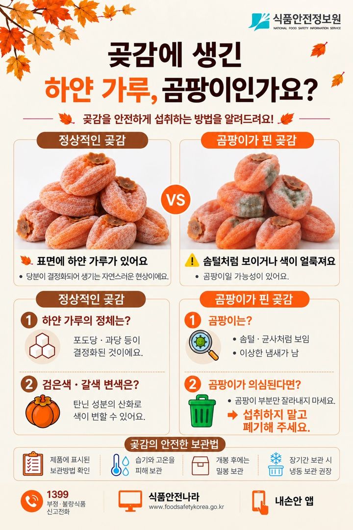 [서울=뉴시스] 17일 식품안전정보원에 따르면 곶감을 건조하는 과정에서 감 속의 포도당·과당 등이 결정화되면서 하얀 가루인 시상(백분)이 생길 수 있다. (사진=식품안전정보원 제공) 2026.09.17. photo@newsis.com *재판매 및 DB 금지