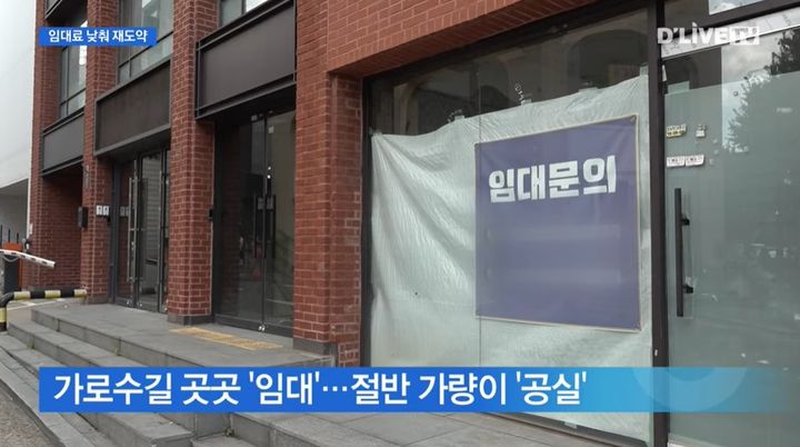 [서울=뉴시스] 가로수길 곳곳에 임대를 알리는 안내문이 붙은 가운데, 빈 점포가 이어지고 있다. (사진='딜라이브 뉴스' 캡처)