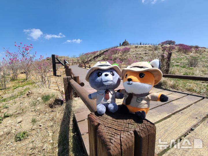 [전남광주=뉴시스] (사진=국립공원 지리산봉사단 "산애삶애" 제공) photo@newsis.com *재판매 및 DB 금지