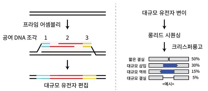 [서울=뉴시스] 황규호 한양대 화학과 교수가 유전자 편집 기술 '프라임 어셈블리'를 개발했다. (사진=한양대 제공) 2026.09.18. photo@newsis.com *재판매 및 DB 금지