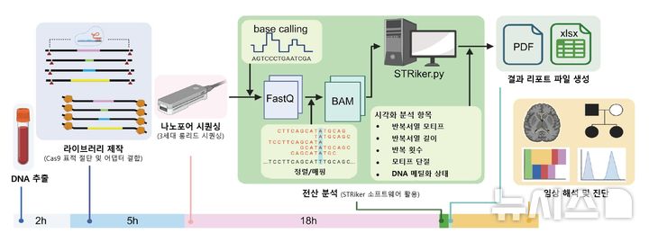 [서울=뉴시스] CATS-STRiker 기반 반복서열 확장질환 진단 워크플로우. 혈액 DNA를 Cas9로 표적 절단해 나노포어로 읽고, STRiker가 반복서열과 메틸화를 분석해 진단 리포트를 생성한다. (사진= 서울대학교병원 제공)