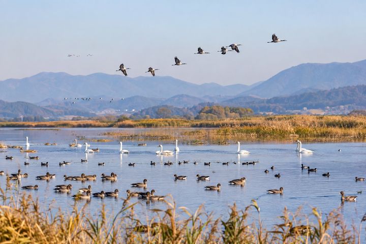 경남 창원시 의창구 북면 철새도래지 주남저수지.(사진=경남도 제공) 2026.09.21. *재판매 및 DB 금지