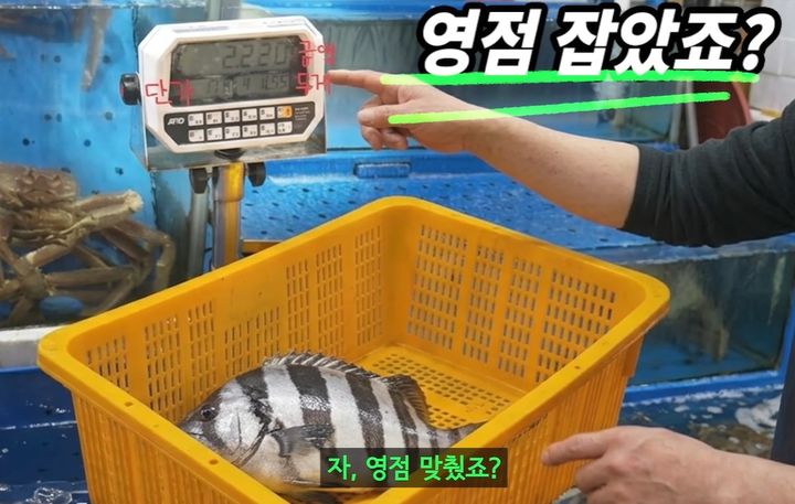[서울=뉴시스]최근 주요 수산시장에서 전자저울의 계량 화면을 악용한 중량 눈속임 제보가 잇따르고 있다. 전자저울에서 맨 위에 크게 표시되는 숫자는 중량이 아니라 금액"이라며 "상인이 말하는 숫자를 그대로 믿지 말고 그 아래에 작게 적힌 실제 중량을 반드시 직접 확인해야 한다"고 당부했다. 사진 유튜브 채널 '입질의추억TV' 영상 캡처 *재판매 및 DB 금지