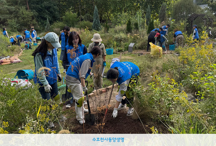 [서울=뉴시스] 동양생명과 ABL생명 임직원들이 지난 18일 서울 광진구 어린이대공원에서 정원 가꾸기 봉사활동을 진행하고 있다. (사진=동양생명 제공) 2026.09.21. photo@newsis.com *재판매 및 DB 금지