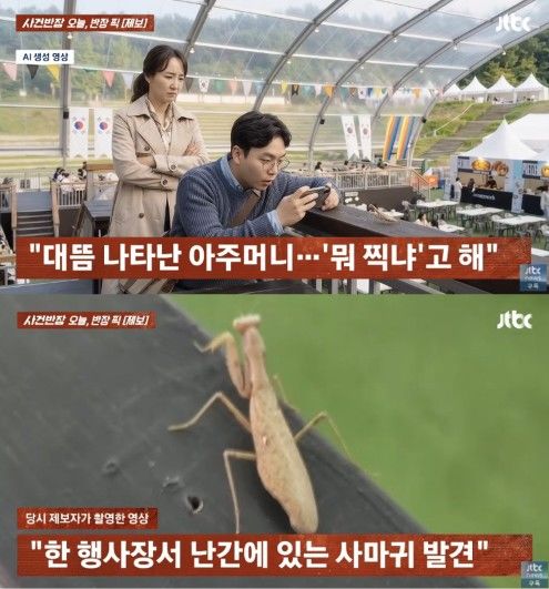 [서울=뉴시스] 사마귀를 찍던 20대 남성이 뒤에 있던 사람을 촬영했다며 항의를 받았다. (사진 출처=JTBC '사건반장' 캡처)