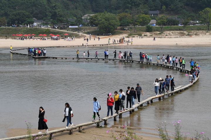 [영주=뉴시스] 영주 무섬외나무다리 전경 (사진=영주시 제공) 2026.09.22. photo@newsis.com *재판매 및 DB 금지