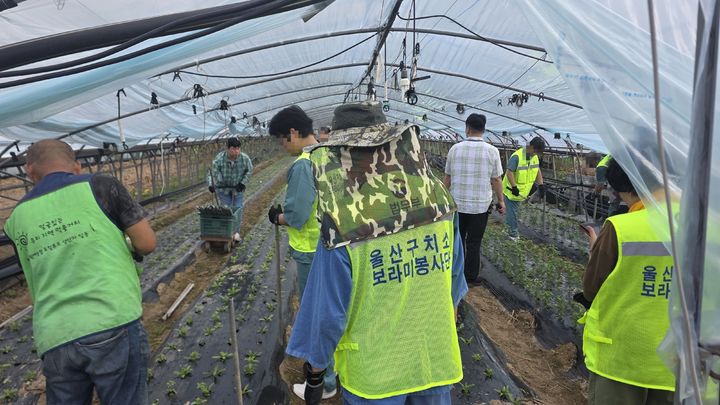 [울산=뉴시스] *재판매 및 DB 금지