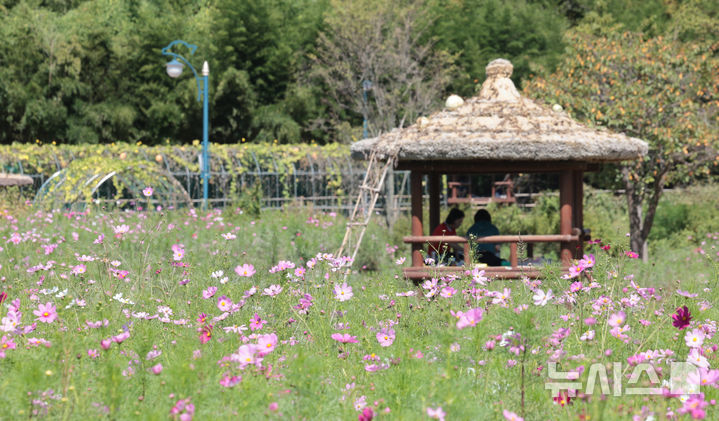 울산 구름 많고 일교차 커…낮 최고 27℃