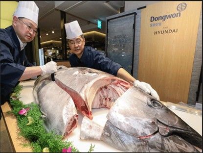 [부산=뉴시스] K-참다랑어 해체쇼. (사진=부산시 제공) 2026.09.23. photo@newsis.com *재판매 및 DB 금지