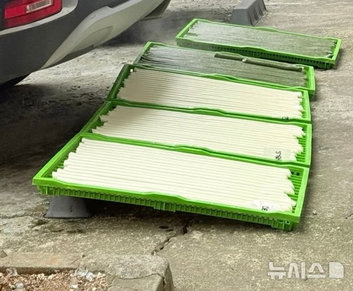[서울=뉴시스]차량이 주차된 공간 바닥에 가래떡이 담긴 채반들이 놓여 있다. (사진=스레드 캡처)