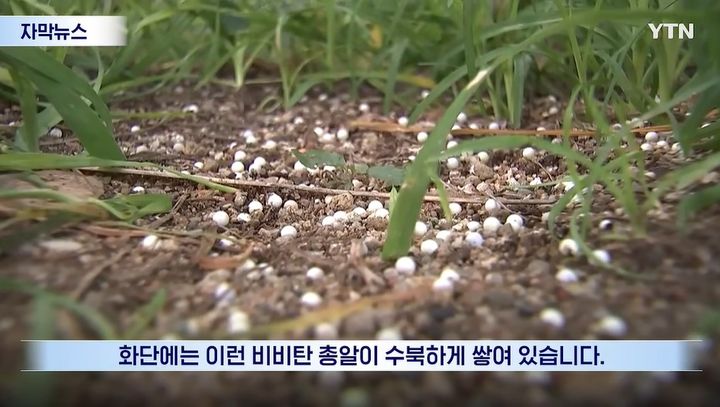[서울=뉴시스] 아파트를 향해 비비탄총을 반복해서 쏜 40대 남성이 사건 발생 약 1년 반 만에 경찰에 검거됐다. (사진='YTN' 캡처)