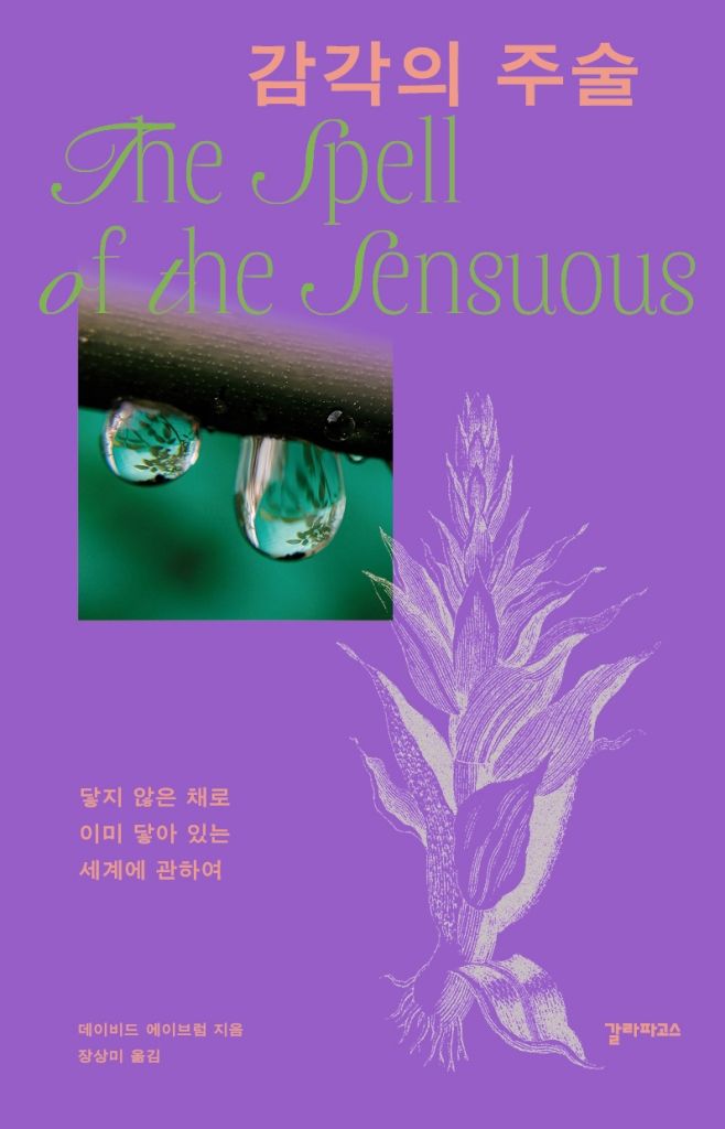 [서울=뉴시스] '감각의 주술' (사진=갈라파고스 제공) 2026.09.24. photo@newsis.com *재판매 및 DB 금지