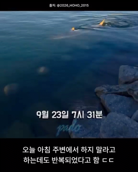 [부산=뉴시스] 부산 북항 친수공원 수로에 머물고 있는 상어를 향해 한 시민이 물체를 던지는 모습이 영상에 담겼다. (사진=스레드 영상 캡처) 2026.09.23. *재판매 및 DB 금지 *재판매 및 DB 금지