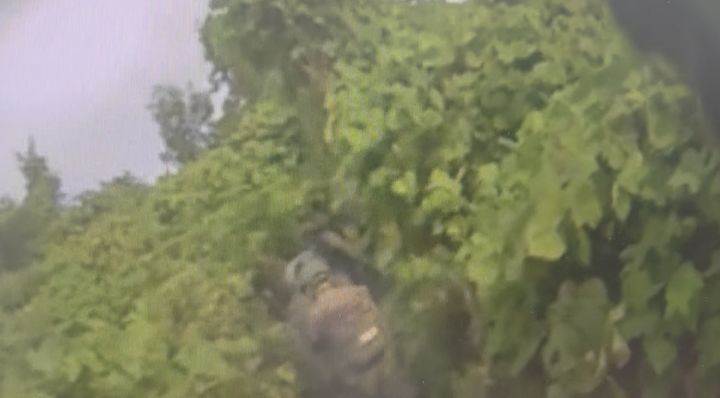 우리 군과 유엔사가 26일 비무장지대(DMZ) 폭발 추정 사고 관련 기동로 확보 및 작전환경을 조사 중인 모습. (사진=합동참모본부 제공) 2026.09.26. *재판매 및 DB 금지