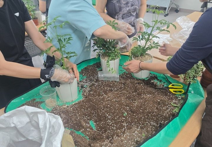 [대구=뉴시스] 대구시 수성구는 고산2동 행정복지센터가 주민들이 반려식물을 직접 심고 관리법을 배우는 나눔행사를 열었다. (사진 = 대구시 수성구 제공) 2026.09.27. photo@newsis.com *재판매 및 DB 금지