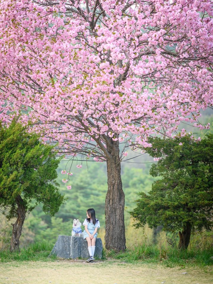 [세종=뉴시스] 농림축산식품부 '제19회 동물사랑 사진·영상 공모전' 대상을 수상한 윤병찬 씨의 '너랑나랑'. (사진=농림축산식품부 제공) *재판매 및 DB 금지