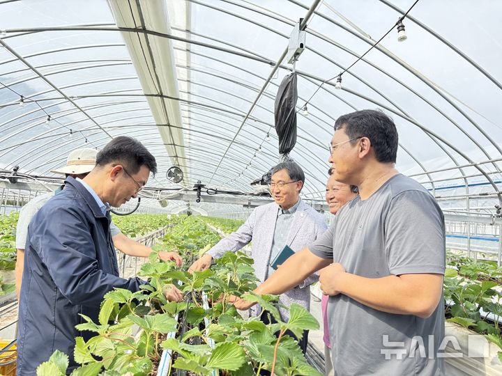 [세종=뉴시스]성제훈 농촌진흥청 국립농업과학원장이 28일 전남 담양군의 딸기 중소형 스마트팜 현장 실증 농가를 방문해 ‘딸기 중소형 스마트팜 생산성 향상 기술’의 적용 상황을 살펴보고 있다.(사진=농진청 제공)