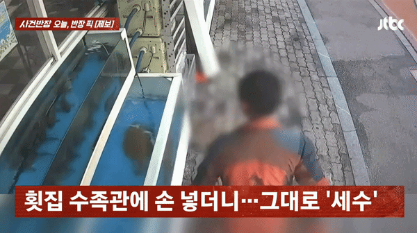 [서울=뉴시스] 횟집에서 판매용 수족관에 손을 넣어 물을 묻힌 뒤 얼굴과 머리를 닦는 남성이 포착돼 논란이 일고 있다. (영상=JTBC 사건반장 캡처) *재판매 및 DB 금지 *재판매 및 DB 금지
