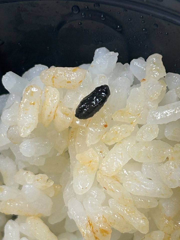 [서울=뉴시스]김치찜을 먹던 중 발견한 검은 물체. 쌀밥 사이에 길쭉한 타원형의 검은 알갱이가 보인다.(사진출처:스레드 캡처)2026.09.29