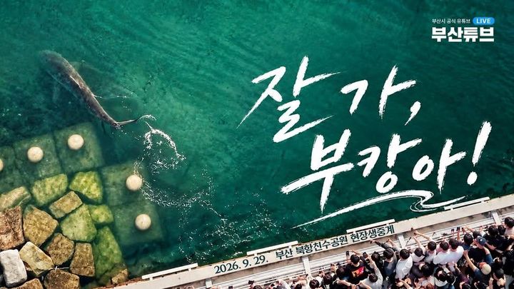 [부산=뉴시스] 29일 부산광역시 공식 유튜브 채널 '부산튜브'에서 '부캉이' 외해 유도 작업 현장 생중계가 진행됐다. (사진= '부산튜브' 캡쳐) *재판매 및 DB 금지