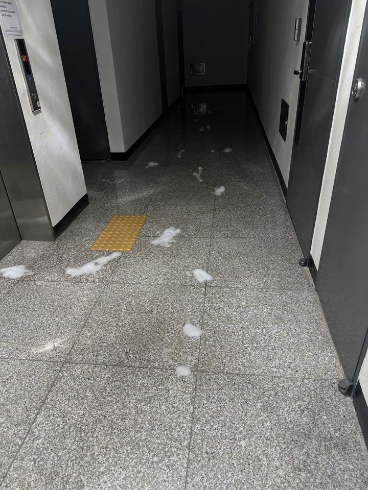 [서울=뉴시스] 아파트 복도 바닥에 배설물로 추정되는 흔적 위로 락스가 뿌려져 흰 거품이 덮여 있다. (사진출처: 스레드 캡처) 2026.09.30.