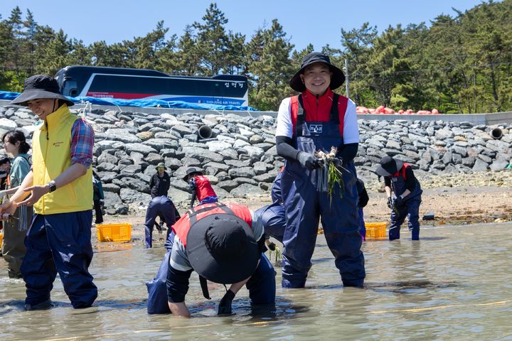 [부산=뉴시스] 점토·한지법을 이용한 잘피 이식. (사진=한국수산자원공단 제공) 2026.09.30. photo@newsis.com *재판매 및 DB 금지