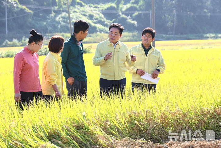 [장흥=뉴시스] 사순문 장흥군수(오른쪽 두 번째)가 30일 관산읍 가을 들녘을 찾아 벼 병충해 피해 상황을 점검하고 피해 농가의 애로사항을 청취하고 있다. (사진=장흥군 제공) photo@newsis.com *재판매 및 DB 금지