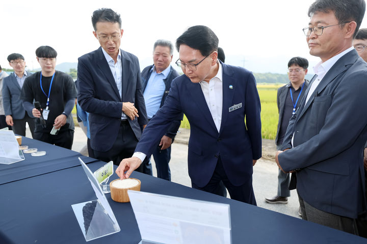[고창=뉴시스] 30일 고창군 신림면 고창쌀브랜드화품종비교전시포에서 열린 '2026년 벼농사 종합평가회', 심덕섭 군수가 수광1 품종 쌀의 상태를 살피고 있다. *재판매 및 DB 금지