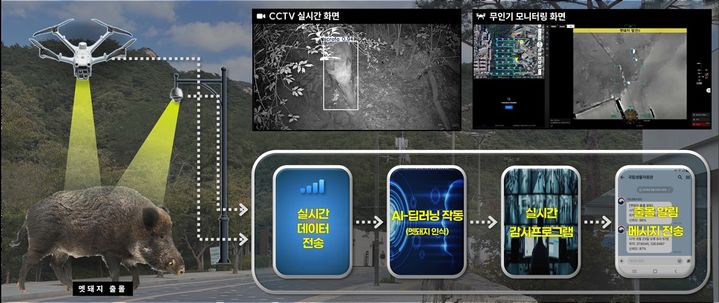 [세종=뉴시스]야생멧돼지 실시간 감시 기술 개요 그래픽이다.(사진= 생물자원관 제공) *재판매 및 DB 금지
