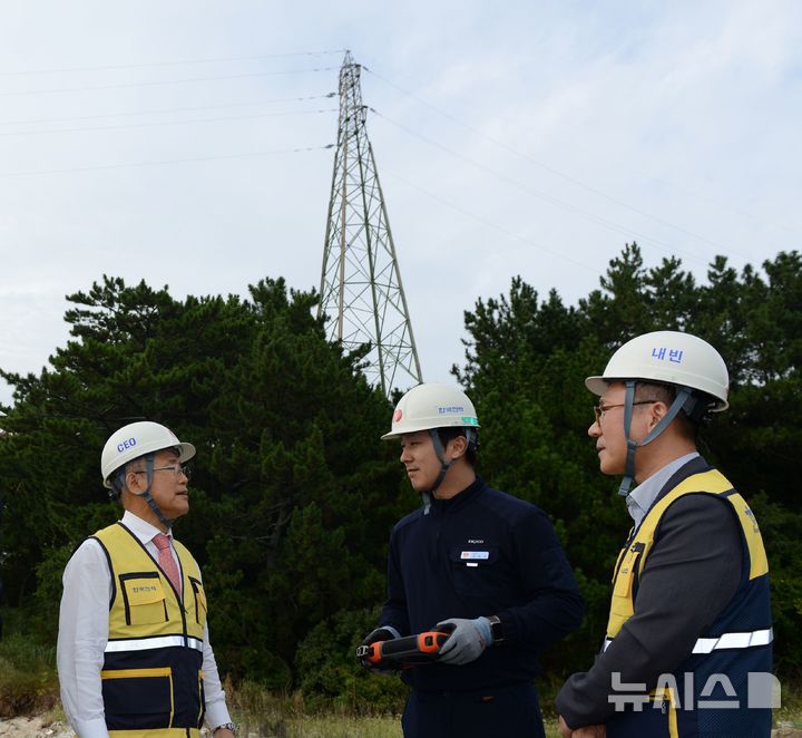 [세종=뉴시스]비산도 인근에서 해월 배전철탑의 설비 상태와 자연재해 취약요인을 확인하고 있는 김동철 사장의 모습.(사진=한전 제공)