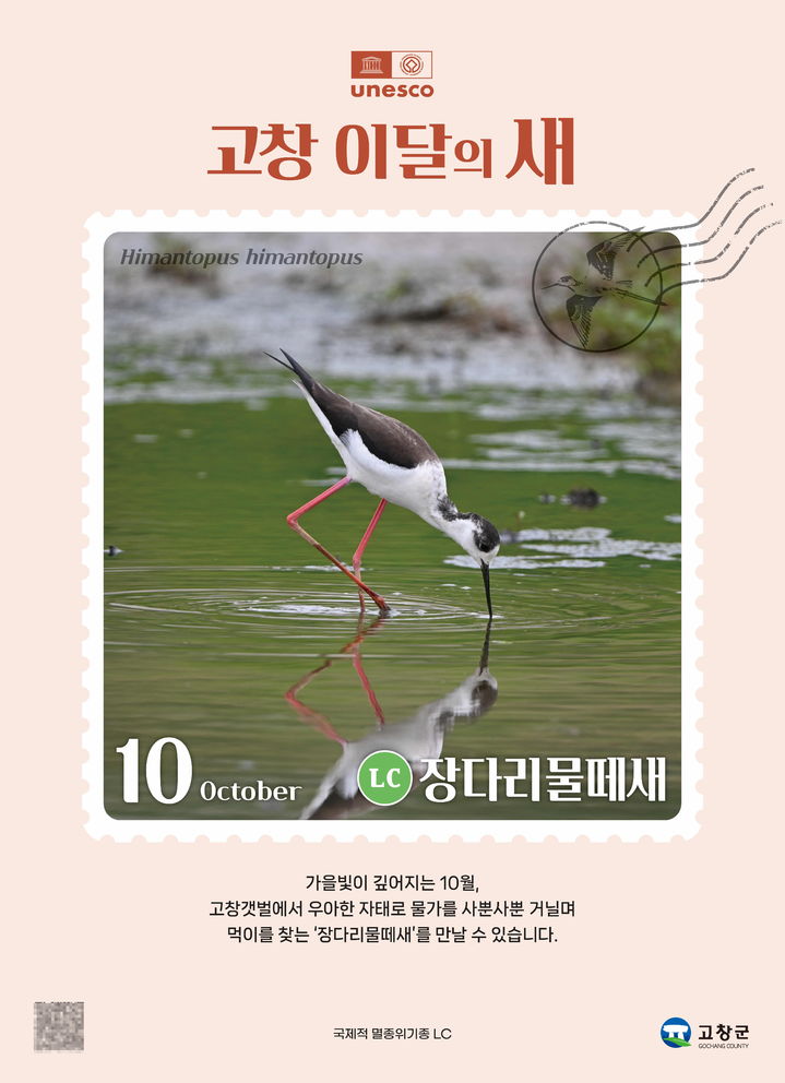 *재판매 및 DB 금지
