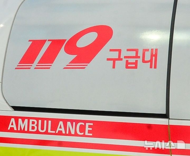 119구급대 로고 (사진=뉴시스 DB) photo@newsis.com *재판매 및 DB 금지