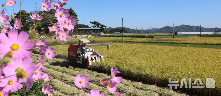 전북 낮 20~24도 '맑음'…식중독 발생 가능성 높아