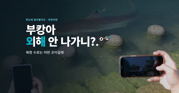 부캉아, 외해 안 나가니?…북항 수로는 어떤 곳이길래 [한눈에 알아볼지도]