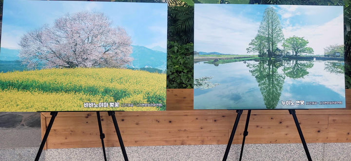 [무안=뉴시스]일본 사가현 우호교류 15주년 기념 사진전. (사진=전남광주시 제공) photo@newsis.com *재판매 및 DB 금지