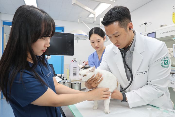 [전남광주=뉴시스] 최근 개소한 전남대 동물병원 고양이 진료센터. (사진 = 전남대 제공). 2026.10.02. photo@newsis.com *재판매 및 DB 금지