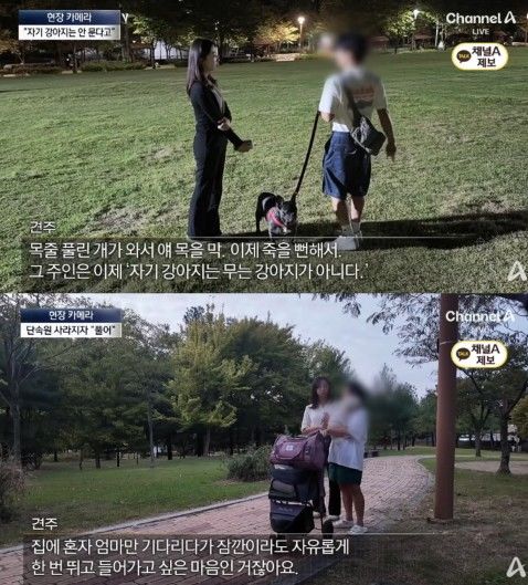 [서울=뉴시스] 반려견 목줄을 풀어놓는 견주들로 공원 이용객들이 불편을 겪고 있다. (사진 출처=유튜브 채널 '채널A News' 캡처)