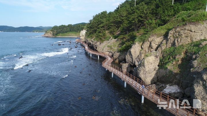 [포항=뉴시스] 포항시 남구 호미 반도 해안 둘레길 전경. (사진=포항시 제공) 2026.10.02. photo@newsis.com