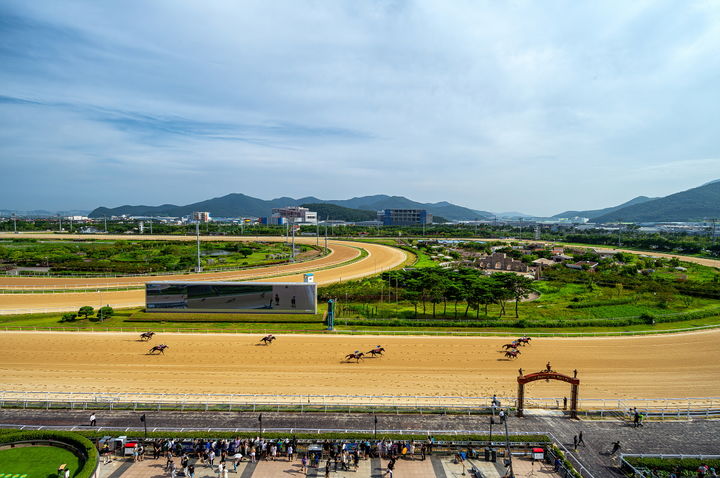 [부산=뉴시스] 렛츠런파크 부산경남 경마 장면. (사진=한국마사회 렛츠런파크 부산경남 제공) 2026.10.04 photo@newsis.com *재판매 및 DB 금지